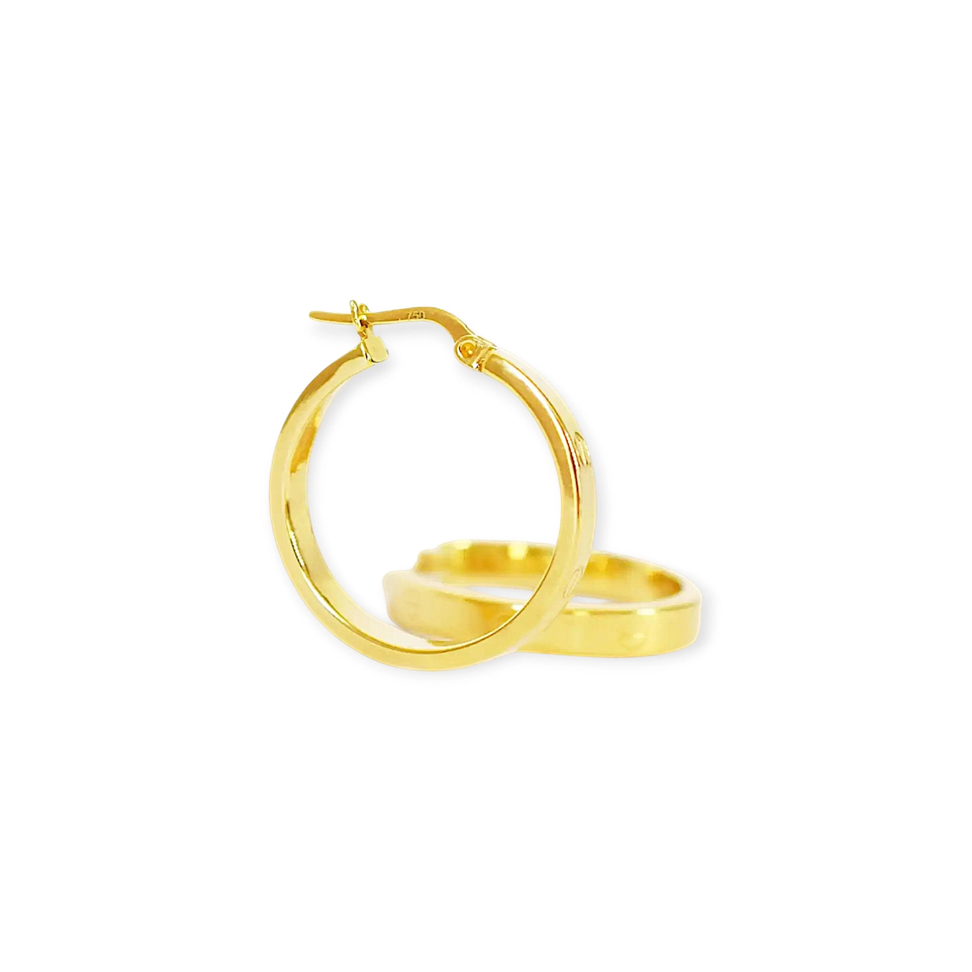 Elegant 18 Karat Yellow Gold flat hoop earrings with prominent screw-head details.